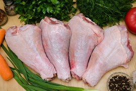 ГОЛЕНЬ индейки