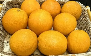 АПЕЛЬСИНЫ 