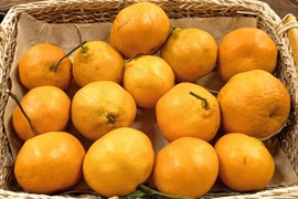 МАНДАРИНЫ