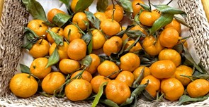МАНДАРИНЫ маленькие