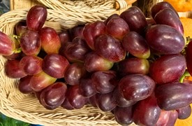 ВИНОГРАД Ред Глоб