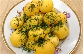Картофель ОТВАРНОЙ